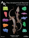 Maliuk, A., A. Marghoub, C.J.A. Williams, E. Stanley, L. K�ver, M. Vickaryous, A. Herrel, S.E. Evans and M. Moazen (2024) Comparative analysis of the osteoderms across the lizard body. 

Anat. Rec. 307: 3191-3203.